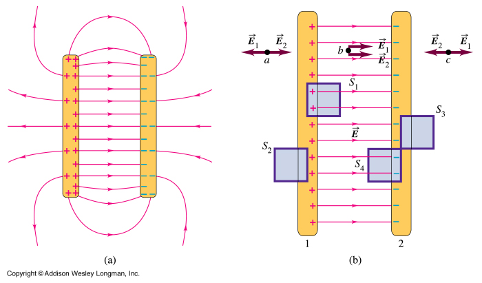 elec cap fig1