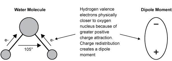 water molecule